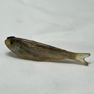 Vintage Ken Loeber Pop Art Tie Bar Clothes Clip Pin Minnow Fish Acrylic Lucite